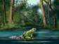 illustration of frog in water and forest in background