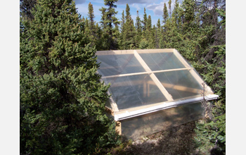 Photo of a greenhouse warming experiment in Alaska's boreal forest.
