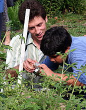 Man helps student aim digital camera at garden.