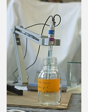 Components for green gasoline can be sythesized.