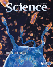 Cover of the January 15, 2010 issue of the journal Science.