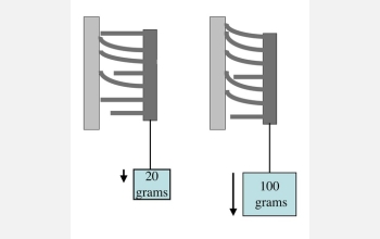 Conceptual drawing illustrating how the new material functions.