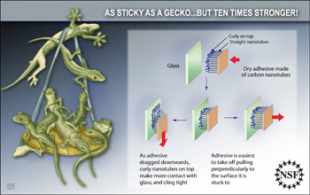 Illustration of a gecko hanging off a ledge holding nine more geckos.