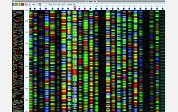 Shown here is step 5 in the DNA sequencing process--the end result