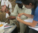 UCLA graduate Madeline Tiee works with Cameroonian students.