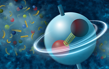 New data show that local fluctuations in the nuclear strong force may influence the spin orientation of particles