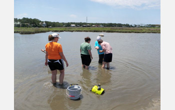 Photo of scientists sampling oysters and other shellfish in a Gulf Coast salt marsh.