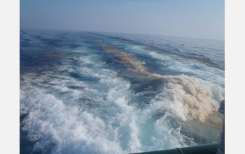 A wake of oil is left behind an oceanographic research vessel.