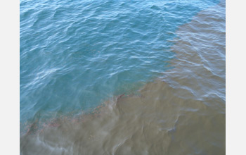 Oil on the surface of the Gulf.