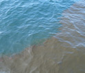 Oil on the surface of the Gulf.
