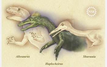 Comparison of dentition and arms of three dinosaurs