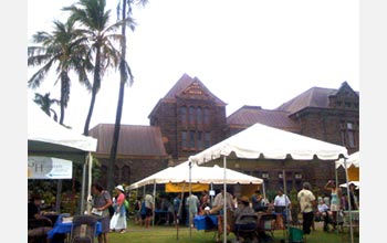 Photo of a festival at Honolulu's Bishop Museum that promotes the use of native Hawaiian plants.