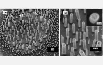 Polymer fibers grow on a fingerprint at 30 degrees Celsius and a relatively high humidity