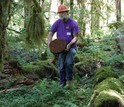 Biologist Mark Harmon in the forest holding a piece of dead tree