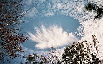 Jets and turboprop aircraft leave unusually shaped clouds in their wakes.