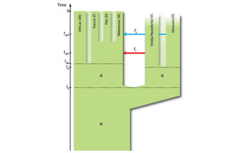 a branching tree depicting the genetic relationships among ancestral humans.