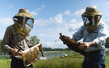 Two scientists at beehive