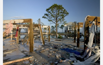 The debris line deposit from the tidal surge of Hurricane Ivan.