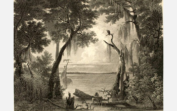 The Lake of the Dismal Swamp by John Gadsby Chapman, 1842.