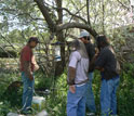 Photo of William Bell with students doing research on West Nile virus.