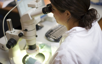 woman looking through a microscope