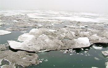 ice floating on open water