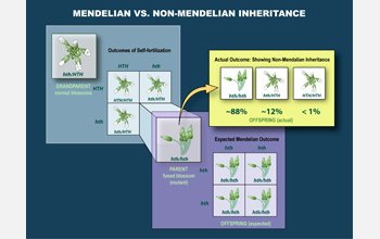 Non-Mendelian inheritance figure