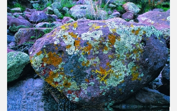 Lichen-covered boulders in the Superstition Mountains close to the Phoenix metropolitan area.