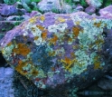 Lichen-covered boulders in the Superstition Mountains close to the Phoenix metropolitan area.