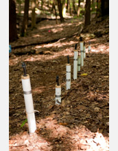 Photo of a nest of instruments in the Shale Hills that collect fluids from the soil.