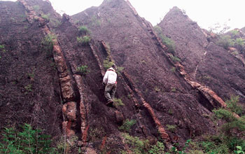 Photo of researcher Noah Planavsky on a black shale exposure in China.