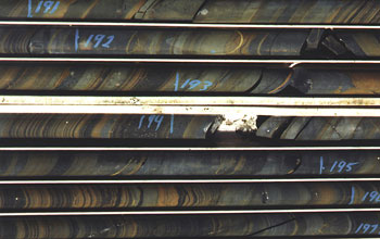 Photo of drill core of shales and siltstones where brown layers are indicative of iron-rich ocean.