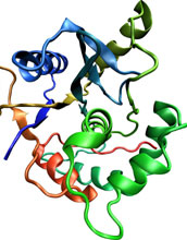 The most complicated knot ever observed in a protein.