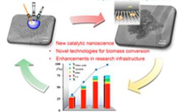 illustration showing biomass conversion