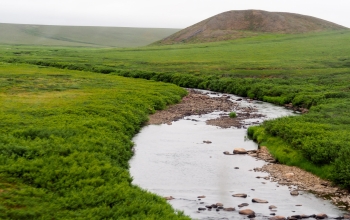 open fieled with stream and grassy mound