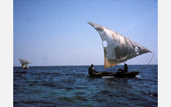 Local fishermen troll the waters of Lake Tanganyika catching
sardines.