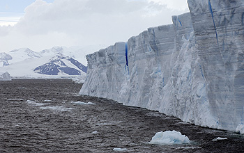 Ice shelf and sea