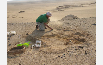 Photo of paleontologist Erik Seiffert excavating a new location in Egypt's Fayum Depression.