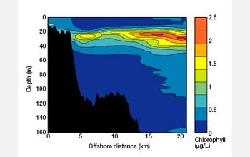 Graph showing chlorophyll levels as a function of depth and offshore distance in Lake Superior.