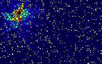 disordered packing of 2,500 soft particles