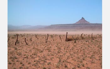 Photo of the Canyonlands National Park which endured extreme wind erosion during the 2001 drought.