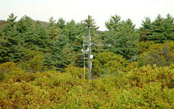 Photo of the Harvard Forest site where forest carbon exchange measurements are conducted.