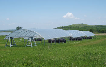 Photo of the Konza Prairie site where precipitation patterns are observed.