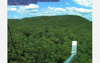 A webcam monitoring the phenology, or seasonal change, of a forest canopy.