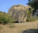 Photo of the Xihuatoxtla Shelter in Mexico where the remains of 8,700 year-old maize was found.