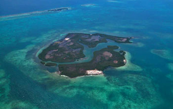 An Aerial View of Mangal Cay