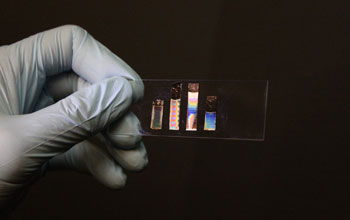 a hand holding a glass slide with virus-based materials revealing different textures.
