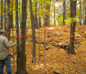 Photo of scientist Nathan Siegert measuring an infested tree in a town abutting Worcester, Mass.