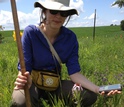 Researcher Sara Zufan measuring an Echinacea plant in an experimental garden plot