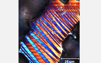Optical micrograph of polished cross-section of dual-pore sized Ni-Mn-Ga shape memory foam.